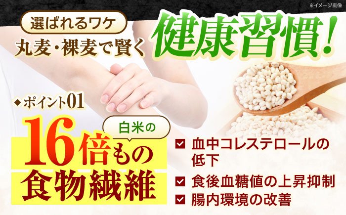 【諫早市市制施行20周年特別企画】むぎくい亭 (丸麦500g×6・裸麦500g×6) 計6kg / 麦 丸麦 はだか麦 裸麦 麦味噌 雑穀 雑穀米 食物繊維 長崎県産 米 こめ コメ ※ / 諫早市 / 有限会社伊東精麦  [AHBU002]