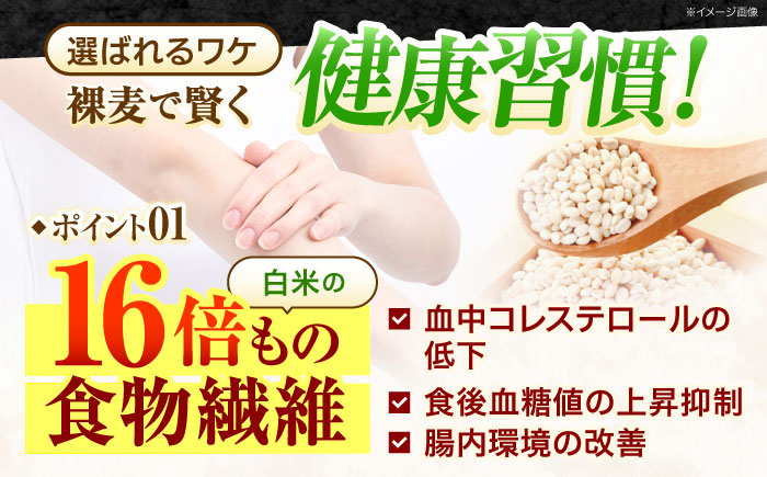 【風味付した裸麦】 麦飯用バーリースター 60g×8個 / 麦 むぎ はだか麦 雑穀 雑穀米 麦ごはん 食物繊維 長崎県産 米 こめ コメ ※ / 諫早市 / 有限会社伊東精麦 [AHBU004]