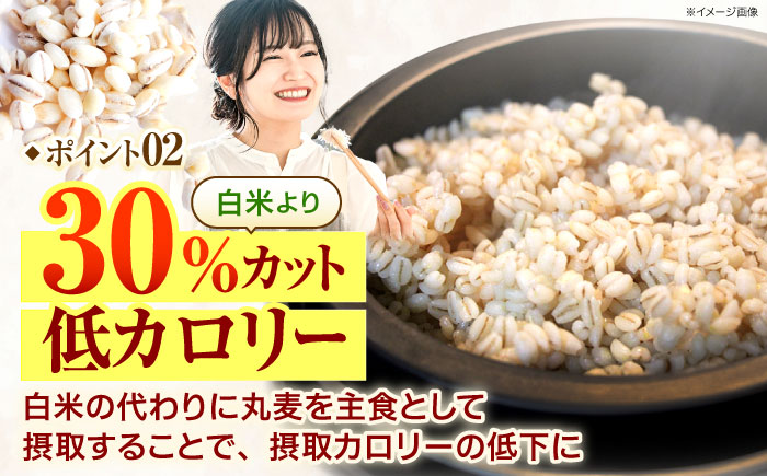 【6回定期便】長崎県産 丸麦 5kg / 麦 むぎ 雑穀 雑穀米 麦ごはん 麦飯 麦みそ 食物繊維 / 諫早市 / 有限会社伊東精麦 [AHBU015]