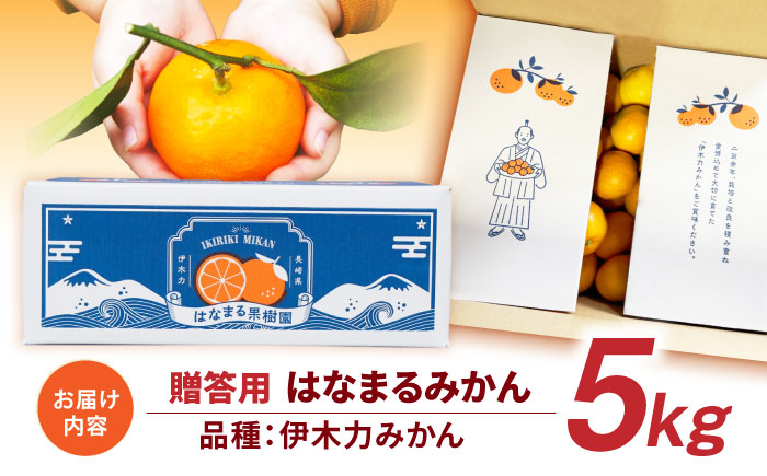 伊木力みかん 「はなまるみかん」(贈答用) 5kg / 伊木力みかん みかん 蜜柑 ミカン 柑橘 果物 フルーツ / 諫早市 / 株式会社山野果樹園 [AHCF003]