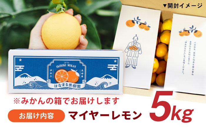マイヤーレモン 5kg / レモン れもん 檸檬 フルーツ 果物 / 諫早市 / 山野果樹園 [AHCF004]