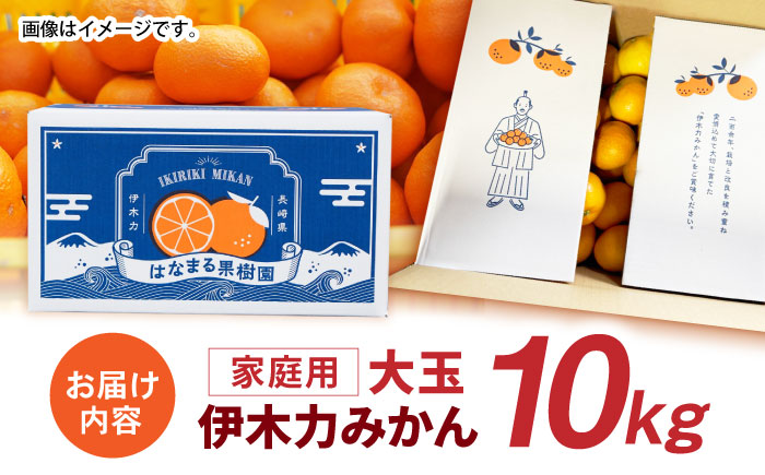 伊木力みかん(大玉) 10kg / みかん ミカン 蜜柑 フルーツ 果物 / 諫早市 / 山野果樹園 [AHCF005]