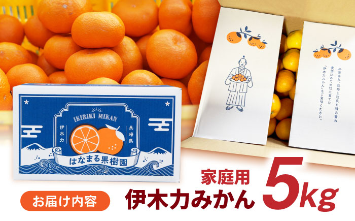 【2回定期便】※【11月より発送／先行予約】 伊木力みかん (家庭用) 5kg / みかん ミカン 蜜柑 柑橘 フルーツ ふるーつ 果物 くだもの / 諫早市 / 山野果樹園 [AHCF008]