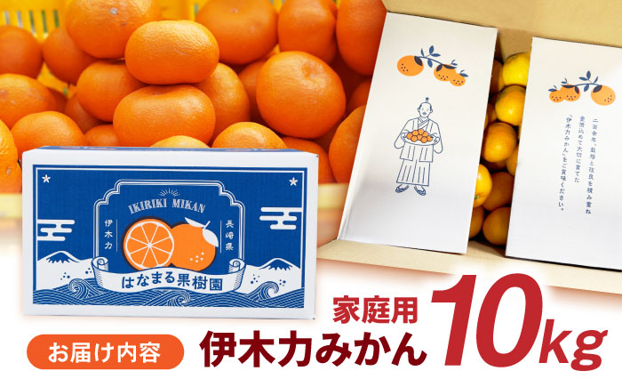 【2回定期便】※【11月より発送／先行予約】 伊木力みかん (家庭用) 10kg / みかん ミカン 蜜柑 柑橘 フルーツ ふるーつ 果物 くだもの / 諫早市 / 山野果樹園 [AHCF012]