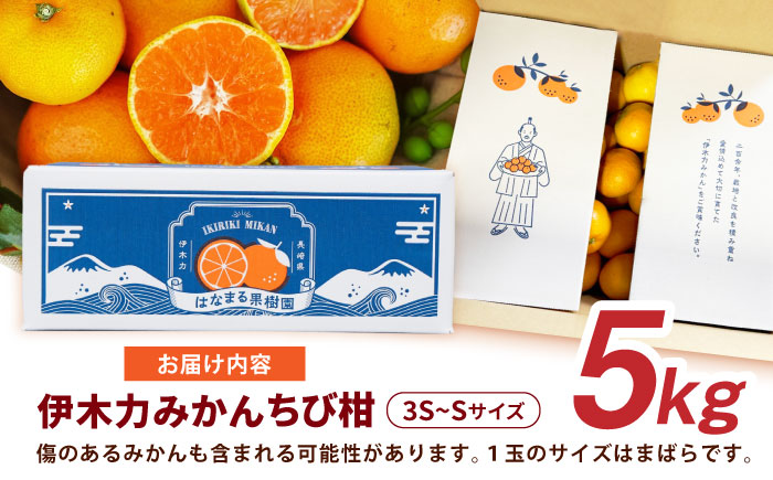 伊木力みかん(ちび柑) 5kg / みかん s みかんsサイズ ミカン 蜜柑 柑橘 フルーツ ふるーつ 果物 くだもの / 諫早市 / 山野果樹園 [AHCF013]