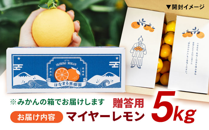 【贈答用】マイヤーレモン 5kg / レモン れもん 檸檬 果汁 柑橘 フルーツ ふるーつ 果物 くだもの / 諫早市 / 山野果樹園 [AHCF014]
