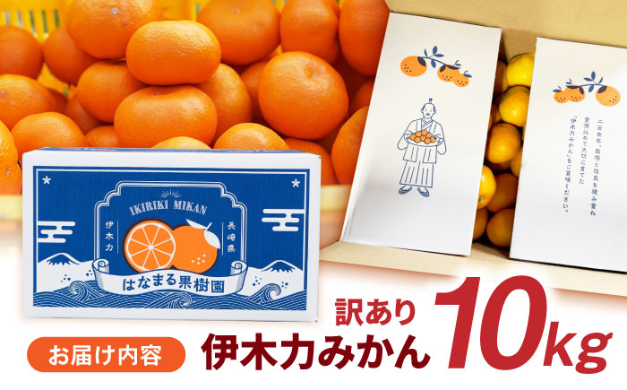 【訳あり】伊木力みかん (家庭用) 10kg / みかん ミカン 蜜柑 オレンジ mikan 柑橘 かんきつ フルーツ ふるーつ 果物 くだもの 訳あり わけあり / 諫早市 / 山野果樹園 [AHCF020]