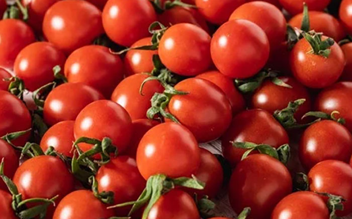 ワイン酵母仕込み茜鶴GOLDミニトマトのお酒375ml / 酒 お酒 アルコール 甘口 ミニトマト トマト / 諫早市 / 株式会社宮下農園  [AHCG001]