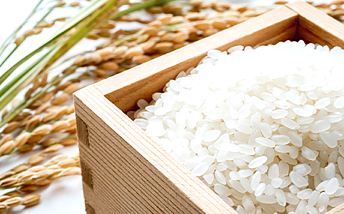 (令和7年産)【6回定期便】長崎県認定特別栽培米にこまる10kg / 米 こめ コメ おこめ お米 白米 精米 にこまる kome 長崎県産 / 諫早市 / 宮下農園   [AHCG024]