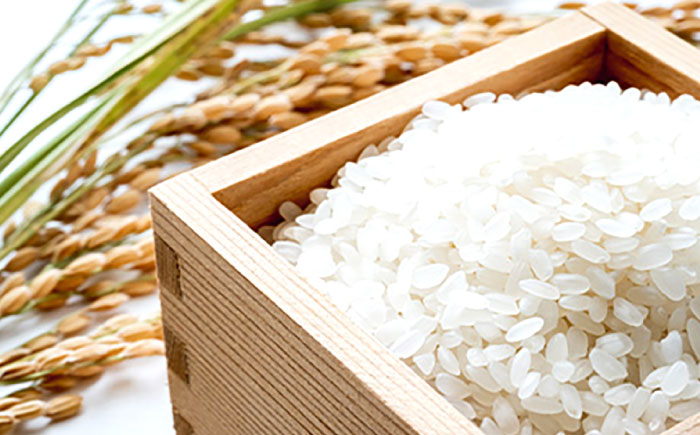 (令和7年産)【6回定期便】長崎県認定特別栽培米ひのひかり10kg  / 米 こめ コメ おこめ お米 白米 精米 ひのひかり ヒノヒカリ kome 長崎県産 / 諫早市 / 宮下農園   [AHCG025]