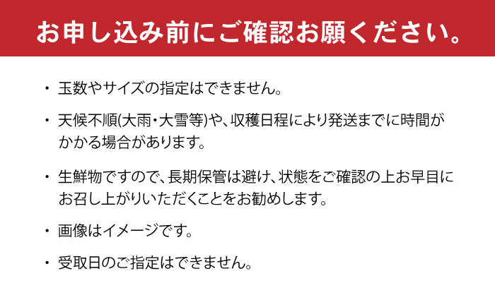 伊木力産 森山果樹園のこだわりみかん 10kg / みかん ミカン 柑橘 伊木力みかん 温州みかん / 諫早市 / 森山果樹園 [AHCO007]