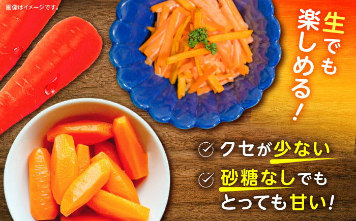 ※【2026年1月より順次発送／先行予約】【甘みと栄養たっぷり！】真っ赤な人参 「紅天神」 10kg / にんじん ニンジン 人参 やさい 野菜 / 諫早市 / 滝商店株式会社 [AHCU002]