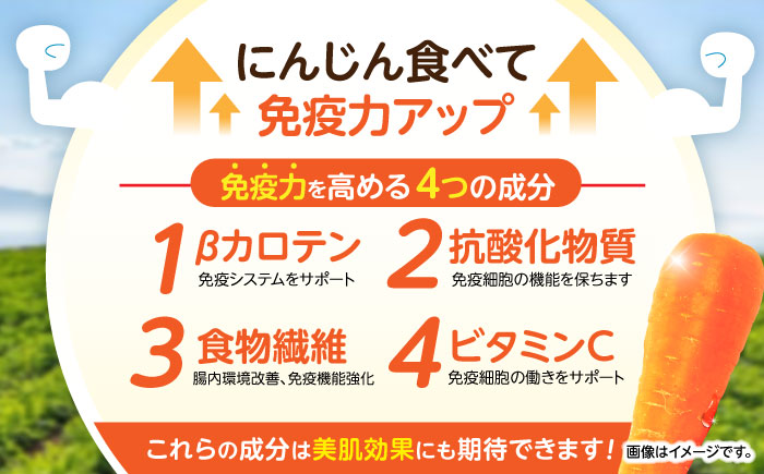 【年内配送】(12/23入金分まで)【訳あり】滝さんの人参10kg / にんじん ニンジン 人参 キャロット きゃろっと やさい 野菜 訳あり 訳アリ わけあり ワケアリ / 諫早市 / 滝商店株式会社 [AHCU005]