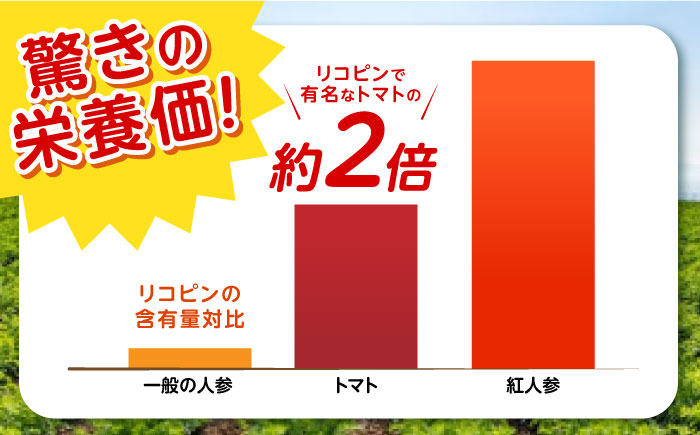 ※【2026年1月より順次発送／先行予約】【訳あり】【甘みと栄養たっぷり！】真っ赤な人参 「紅天神」 10kg / にんじん ニンジン 人参 やさい 野菜 訳あり 訳アリ わけあり ワケアリ / 諫早市 / 滝商店株式会社 [AHCU006]