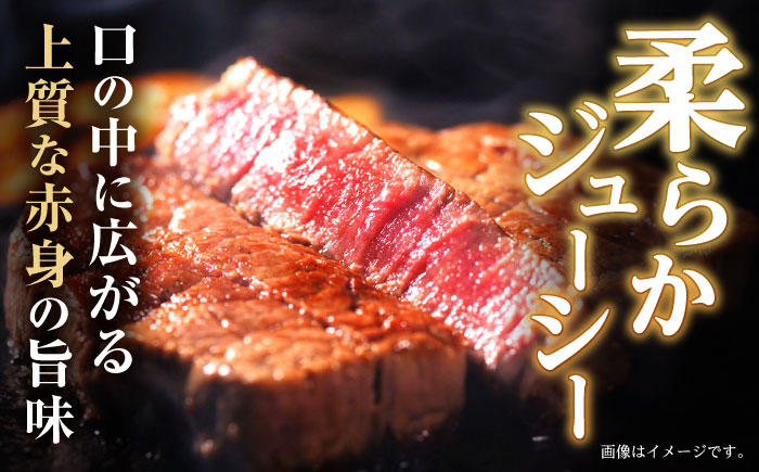 極上 ヒレ ステーキ 300g（150g×2枚） / 牛肉 牛 肉 和牛 ヒレステーキ 長崎和牛 A5 希少部位 / 諫早市 / 野中精肉店 [AHCW004]