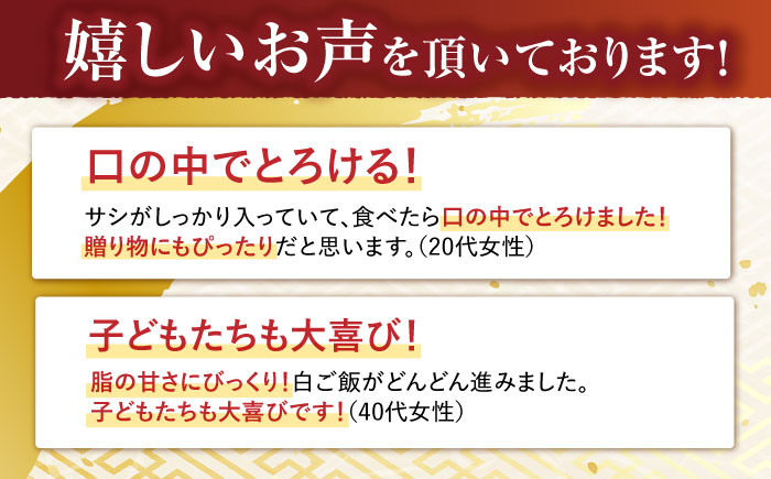 【12回定期便】サーロイン ステーキ 400g（200g×2枚） / サーロインステーキ 長崎和牛 A5 希少部位 / 諫早市 / 野中精肉店 [AHCW029]