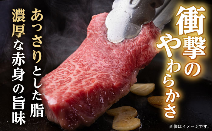 ランプ ステーキ 600g (150g×4枚) / 牛肉 牛 肉 和牛 ステーキ 長崎和牛 A5ランク 希少部位 / 諫早市 / 野中精肉店 [AHCW035]