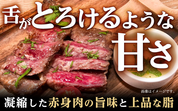 【12回定期便】リブロース ステーキ 300g (150g×2枚) / リブロースステーキ 長崎和牛 A5ランク / 諫早市 / 野中精肉店 [AHCW039]