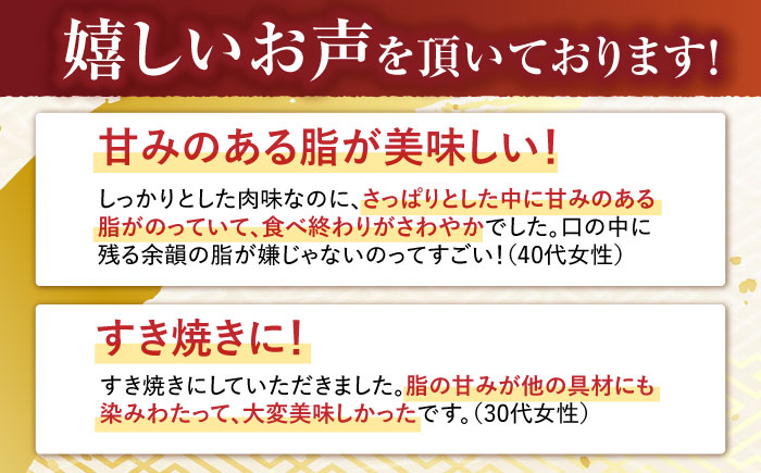 【3回定期便】ロース スライス 400g / 長崎和牛 A5ランク しゃぶしゃぶ すき焼き / 諫早市 / 野中精肉店 [AHCW042]