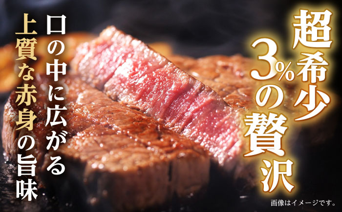 極上 ヒレ ステーキ 600g (150g×4枚) / 牛肉 牛 肉 和牛 国産牛 ヒレステーキ 長崎和牛 A5 希少部位 / 諫早市 / 野中精肉店 [AHCW050]