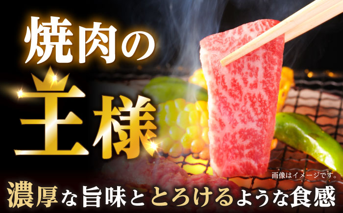 焼肉 上 カルビ 500g / 長崎和牛 A5ランク キャンプ BBQ バーベキュー / 諫早市 / 野中精肉店 [AHCW051]