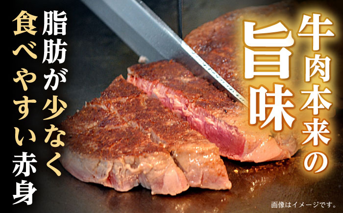 程よい霜降り！ モモ ステーキ 600g (150g×4枚) / モモステーキ 長崎和牛 A5 / 諫早市 / 野中精肉店 [AHCW066]