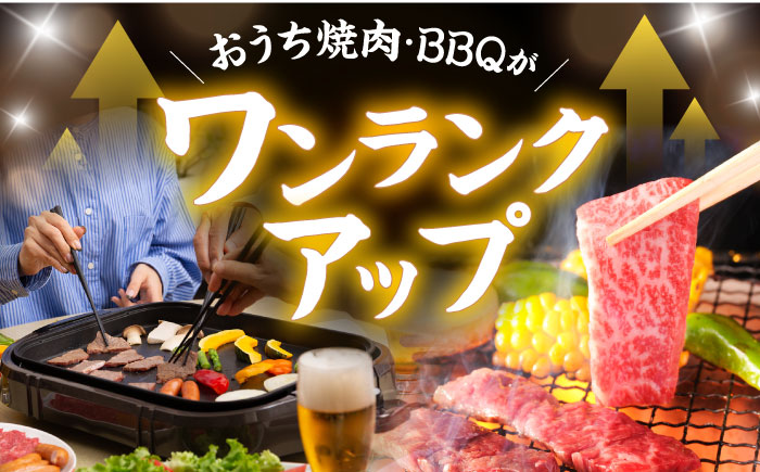 【焼き肉満喫セット】モモ 上カルビ 総計900g / 焼肉 牛肉 長崎和牛 A5ランク / 諫早市 / 野中精肉店 [AHCW075]