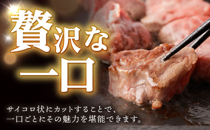 【3回定期便】 【一口で広がる贅沢な旨味！】長崎和牛 A5 ヒレサイコロステーキ 400g / ヒレ ひれ ヒレステーキ ステーキ すてーき サイコロステーキ / 諫早市 / 野中精肉店 [AHCW106]