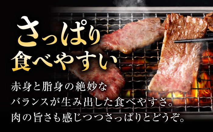 【柔らかさとコクの融合！】長崎和牛 A5 ハラミ 300g / 国産 牛肉 和牛 焼肉 はらみ / 諫早市 / 野中精肉店 [AHCW115]