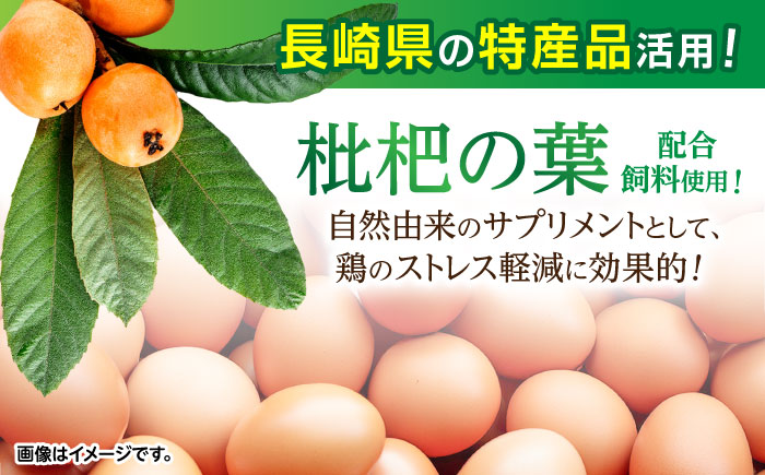 産直枇杷たまご 5kg / 卵 たまご 鶏卵 国産 玉子 枇杷 / 諫早市 / 長崎県養鶏農業協同組合 [AHCX003]