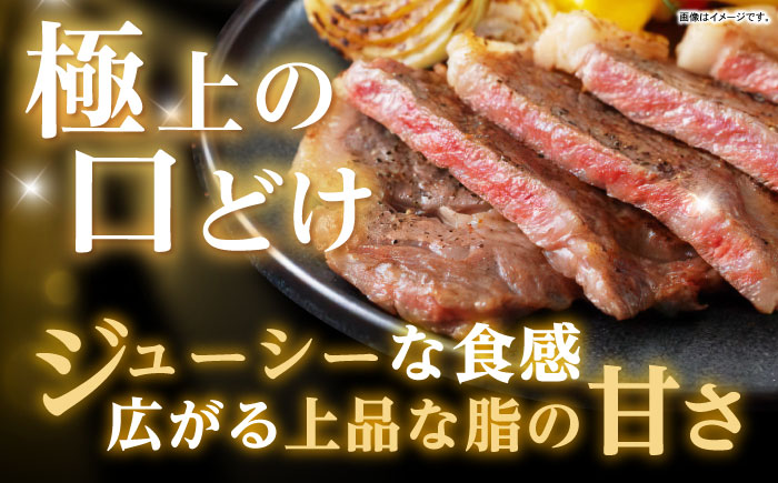 長崎和牛 サーロインステーキ 250g×4パック / 長崎和牛 黒毛和牛 牛肉 和牛 牛 サーロイン さーろいん ステーキ すてーき / 諫早市 / 有限会社長崎フードサービス [AHDD005]