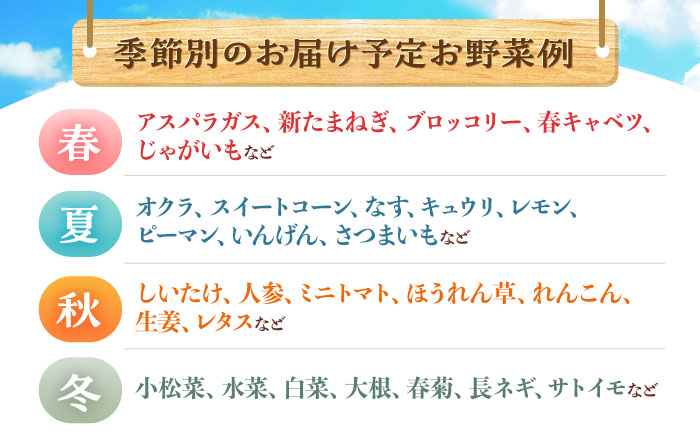 【年内配送】(12/23入金分まで)諫早産野菜の詰め合わせ(8～9品目程度) / 季節 旬 野菜 春野菜 夏野菜 秋野菜  / 諫早市 / 肥前グローカル株式会社 [AHDI004]