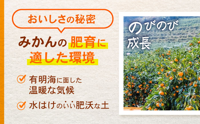 諫早市産 温州みかん 10kg / みかん ミカン 蜜柑 オレンジ フルーツ ふるーつ 果物 くだもの 10kg / 諫早市 / 肥前グローカル株式会社 [AHDI010]