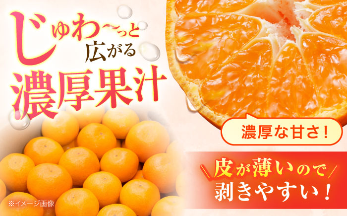 【2回定期便】※【2026年シーズン発送／先行予約】フルーツ定期便 シャインマスカット 約1.3kg(2～3房) / 温州みかん(10kg) 家庭用 / フルーツ フルーツ定期便 果物定期便 シャインマスカット みかん / 諫早市 / 肥前グローカル株式会社 [AHDI012]