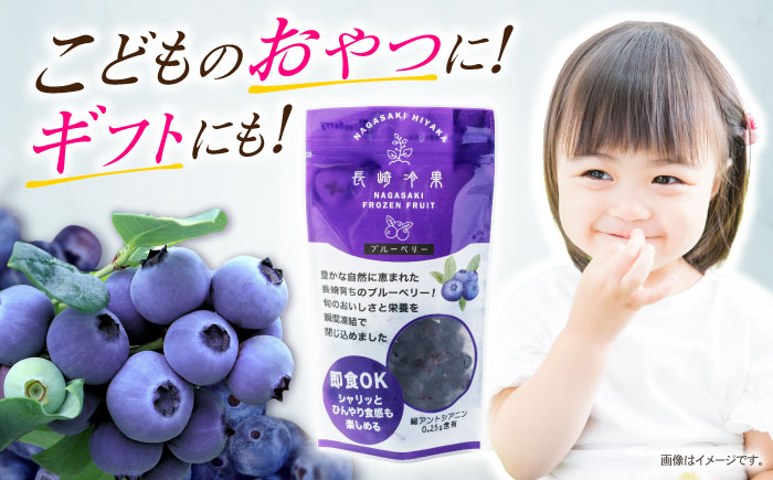 長崎冷果 ブルーベリー 3袋セット　/ 冷凍 冷凍フルーツ ブルーベリー ベリー / 諫早市 / エスジーエス株式会社 [AHEQ004]