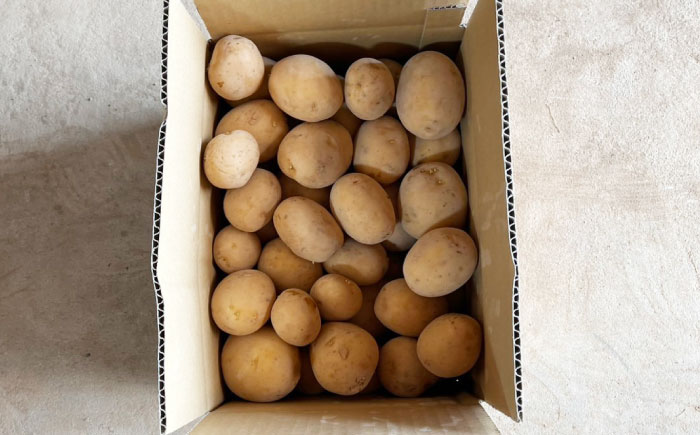 ジャガイモ(あいゆたか)　5kg / 諫早市 / 未来ファーム [AHEY002]