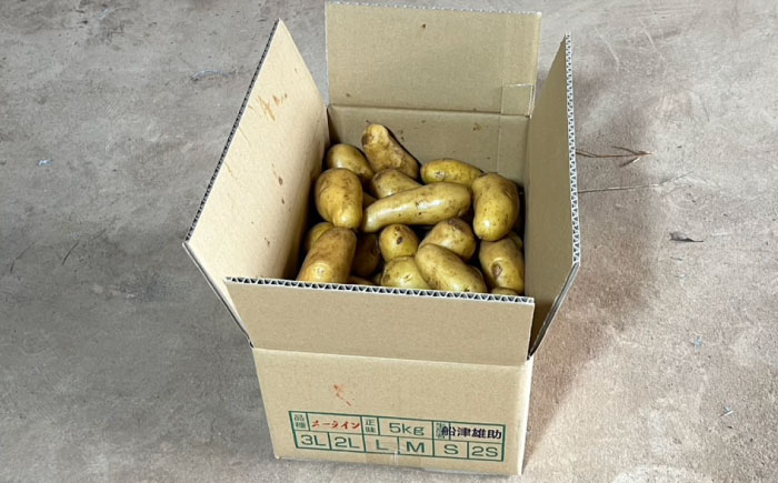 ジャガイモ(メークイーン)　5kg / 諫早市 / 未来ファーム [AHEY004]