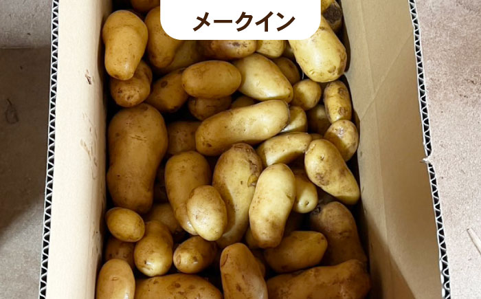 【訳あり】ジャガイモ(品種ミックス)　10kg / 諫早市 / 未来ファーム [AHEY005]