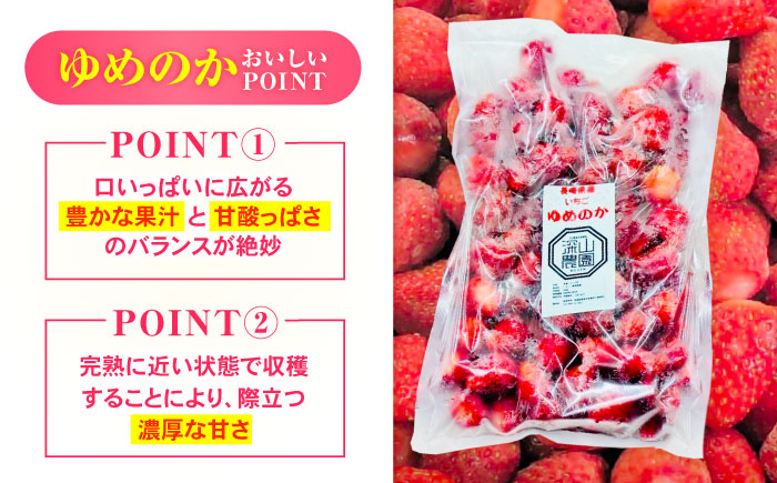 【完熟の恵み、ぎゅっと冷凍！】冷凍いちご「ゆめのか」 Sサイズ 1.5kg(500g×3) / いちご イチゴ 苺 冷凍 冷凍いちご 冷凍フルーツ イチゴジャム / 諫早市 / むらたサービス [AHFA002]