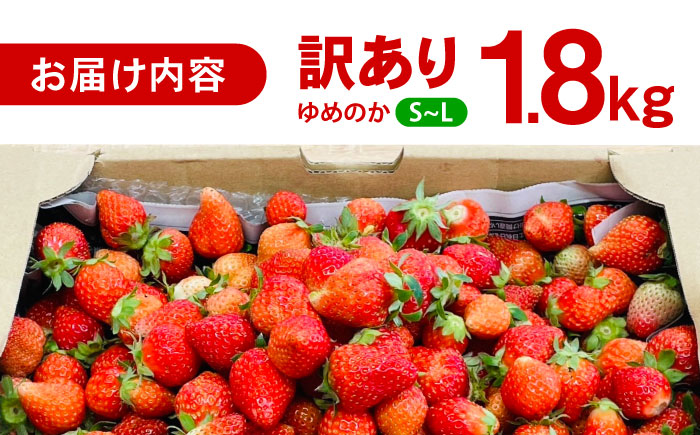※【2026年2月発送分／先行予約】【訳あり】【とろける甘さ、弾ける果汁！】いちご「ゆめのか」 S-Lサイズ 1.8kg / 訳あり 訳あり商品 訳あり果物 果物訳あり いちご イチゴ 苺 イチゴジャム / 諫早市 / むらたサービス [AHFA003]