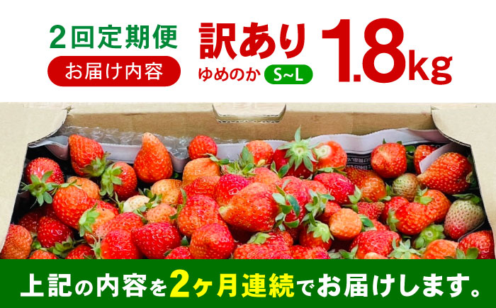 【2回定期便】訳あり いちご「ゆめのか」 S-Lサイズ 1.8kg / 訳あり 訳あり商品 訳あり果物 果物訳あり いちご イチゴ 苺 イチゴジャム / 諫早市 / むらたサービス [AHFA004]