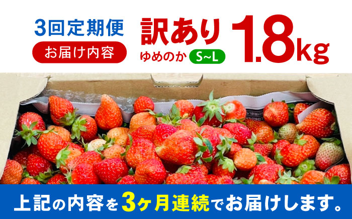 【3回定期便】訳あり いちご「ゆめのか」 S-Lサイズ 1.8kg / 訳あり 訳あり商品 訳あり果物 果物訳あり いちご イチゴ 苺 イチゴジャム / 諫早市 / むらたサービス [AHFA005]