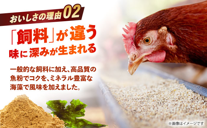 【朝採れ直送】小峰鶏園 赤たまご Mサイズ 90個 / 卵 玉子 たまご 卵焼き 玉子焼き 生卵 鶏卵 卵かけごはん / 諫早市 / 小峰鶏園 [AHFB002]