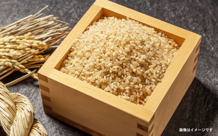 〈令和7年産新米〉【轟峡渓流米】玄米(にこまる) 玄米 新米 米 15kg / 諫早市 / 轟名水ファーム高来 [AHFF006] 玄米15kg