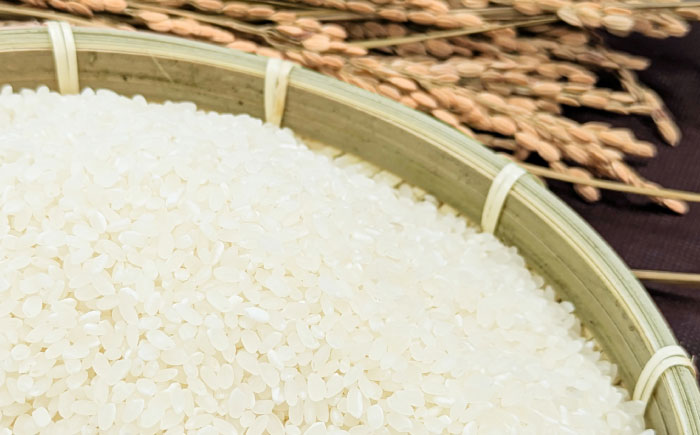 【6回定期便】 精白米(にこまる) 10kg 轟峡渓流米 / 米 白米 精白米 新米 / 轟名水ファーム高来 / 諫早市 [AHFF011]