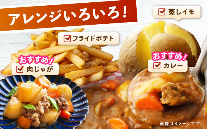 じゃがいも メークイン 10kg (S～2Lサイズ/約50～60個) / じゃがいも ジャガイモ ポテト 九州 メークイン メイクイーン 野菜 やさい / 諫早市 / スマイルファーム　 [AHFG004]