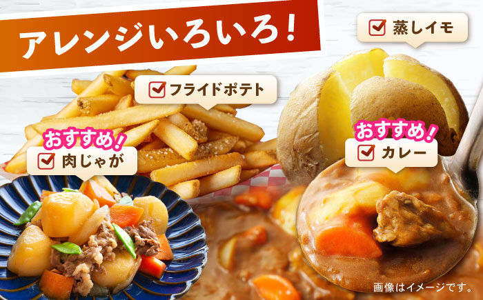 じゃがいも アイマサリ 10kg (S～2Lサイズ/約50～60個) / じゃがいも ジャガイモ ポテト 九州 あいまさり アイマサリ 野菜 やさい / 諫早市 / スマイルファーム　 [AHFG006]