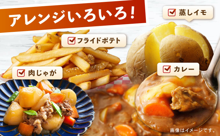 春ジャガ味くらべセット（アイマサリ・メークイン）/ じゃがいも ジャガイモ ポテト 九州 あいまさり アイマサリ メークイン メイクイーン 野菜 やさい / 諫早市 / スマイルファーム [AHFG012]