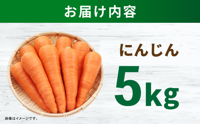ニンジン 5kg / にんじん ニンジン 人参 野菜 やさい / 諫早市 /スマイルファーム [AHFG013]