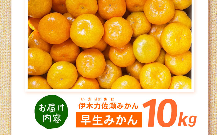 早生みかん　10kg / 諫早市 /伊佐農園 [AHFI012]